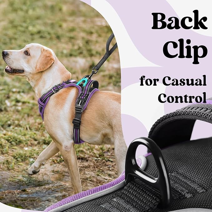 rabbitgoo Dog Harness Small Sized, No Pull Easy On & Off - Image 5