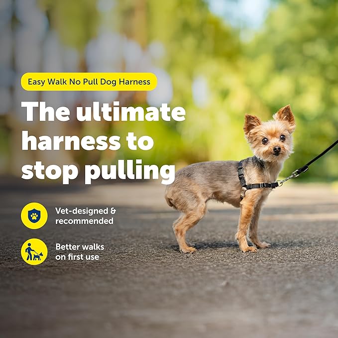PetSafe Easy Walk No-Pull Dog Harness - Image 3