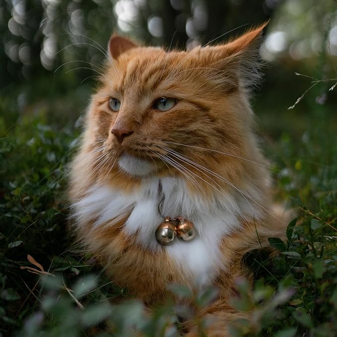 Beau's Bells 2 Extra Loud Cat & Dog Bells | Pet Tracker | Save Birds & Wildlife - Image 6