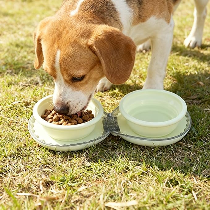 Zegcohjave Collapsible Dog Bowls, Travel Dog Bowl, Dog Water Bowl, Cat Bowl - Image 2