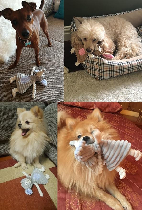 Comtim No Stuffing Dog Toys - Image 3
