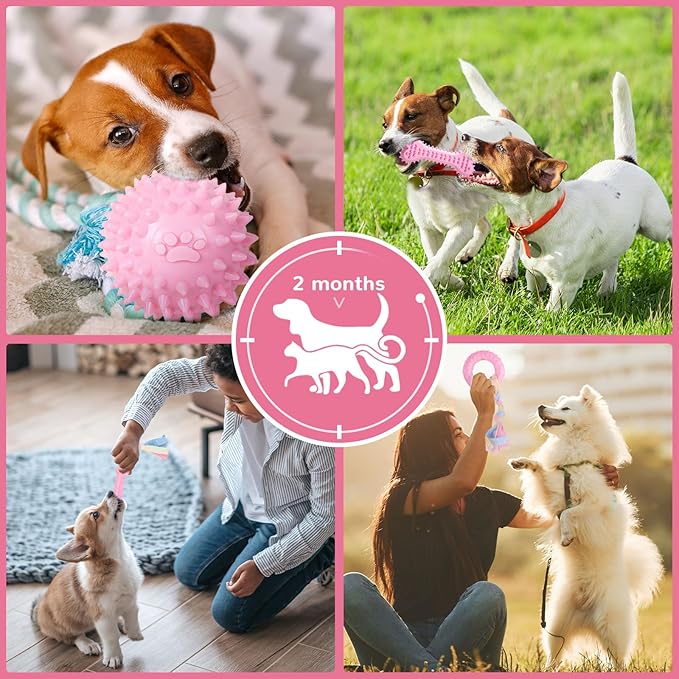 Puppy Chew Toys 6 Pack for Small Dogs, Teething Toys for Puppy Easy Clean - Image 6