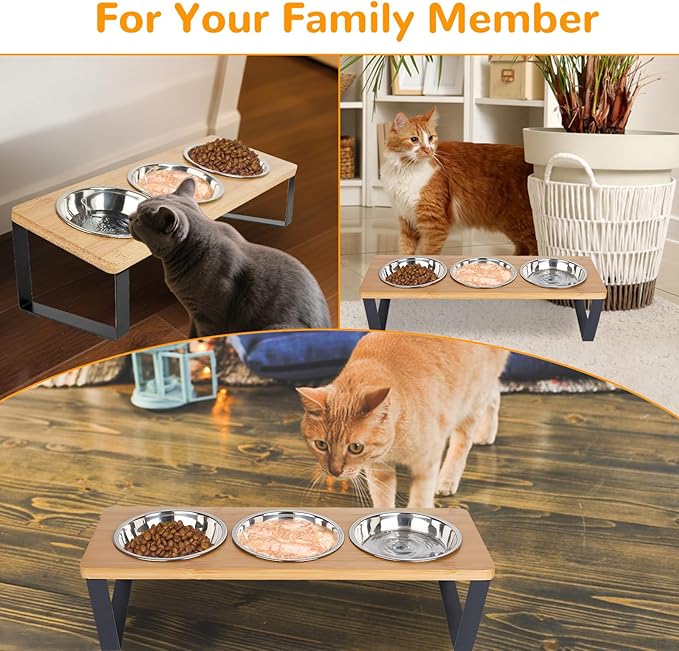 Elevated Cat Bowls with 3 Stainless Steel, 15° Tilted Raised Cat Bowl Set - Image 6