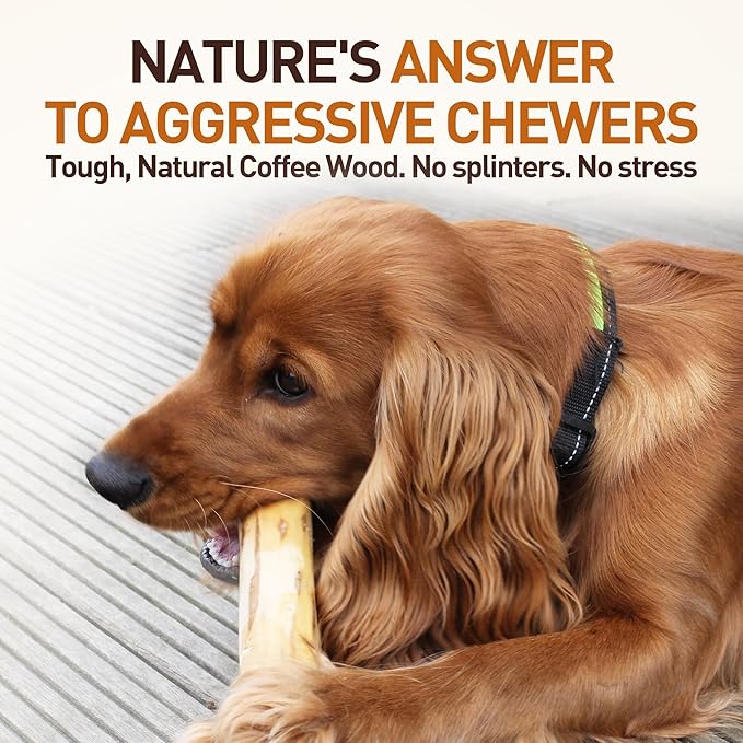 Wildfang® Coffee Wood Dog Chew, XS – Tough Chew Toys - Image 4