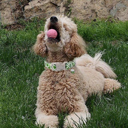 Unique style paws St. Patrick's Day Dog Collar Plastic Buckle Collar - Image 4