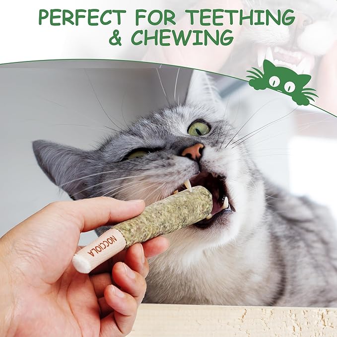 Nocciola 3 Pack Catnip Toys for Cats, Funny Cat Toys Filled - Image 4