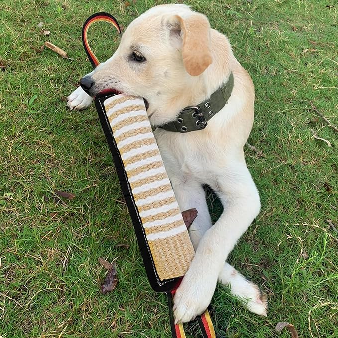 ASOCEA Dog Tug Toy, Bite Jute Pillow Pull Toy Tough Squeaky Dog Toys - Image 7