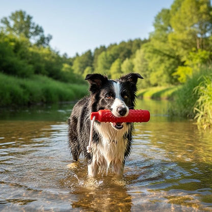 Dog Float Toy - Interactive Training Bumper & Fetching Retrieving Dog Water - Image 5