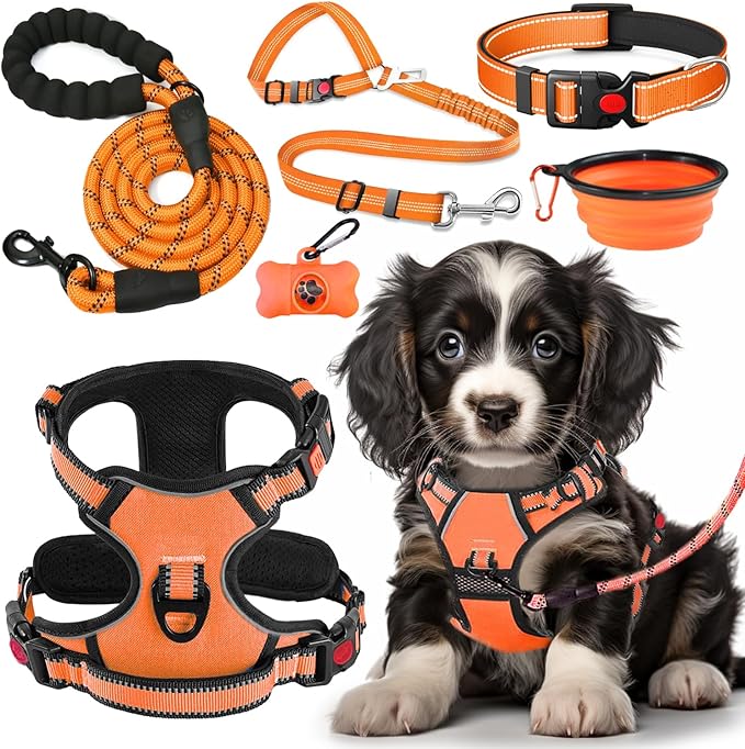 LOBEVE No Pull Dog Harness, Collar & Leash Set | Includes Dog Seat Belt by Lovebegetslove