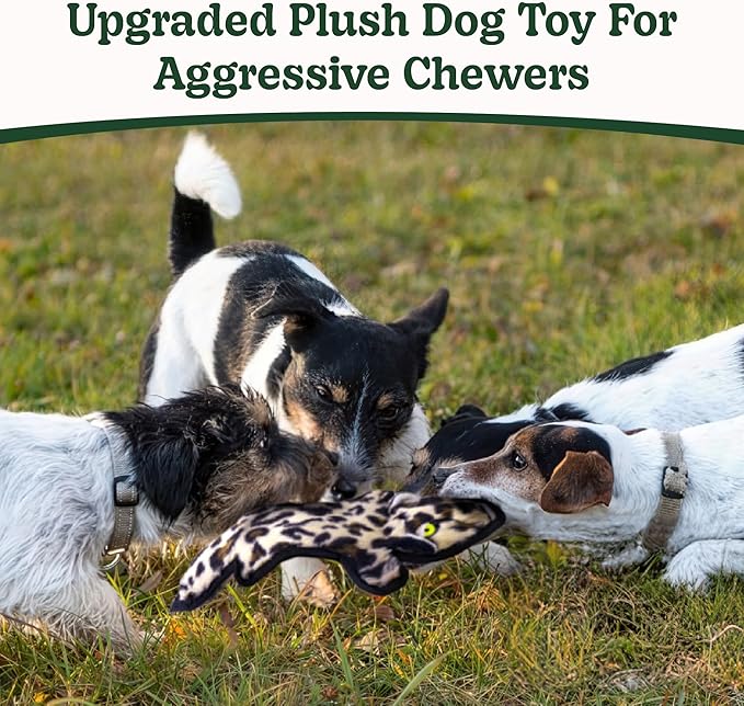 SHARLOVY No Stuffing Dog Toys Crinkle Squeaky, Long Lasting Chews - Image 2