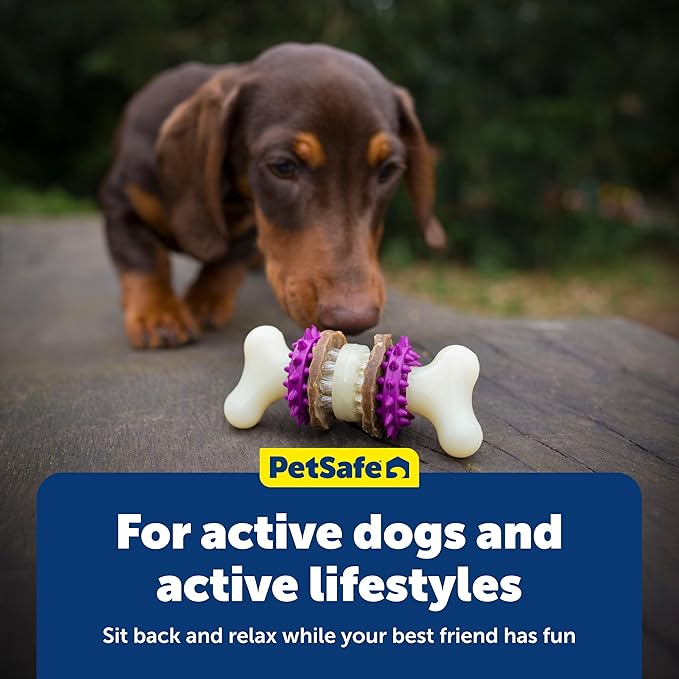 PetSafe Busy Buddy Bristle Bone Dog Chew Toy - Image 6