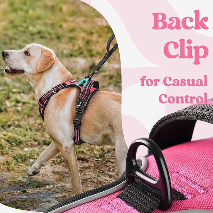 rabbitgoo Dog Harness for Large, No Pull Easy On & Off - Image 6