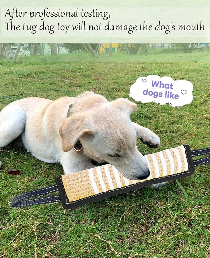 Clysoru Squeaky Tug Toy for Dogs Jute - Image 7