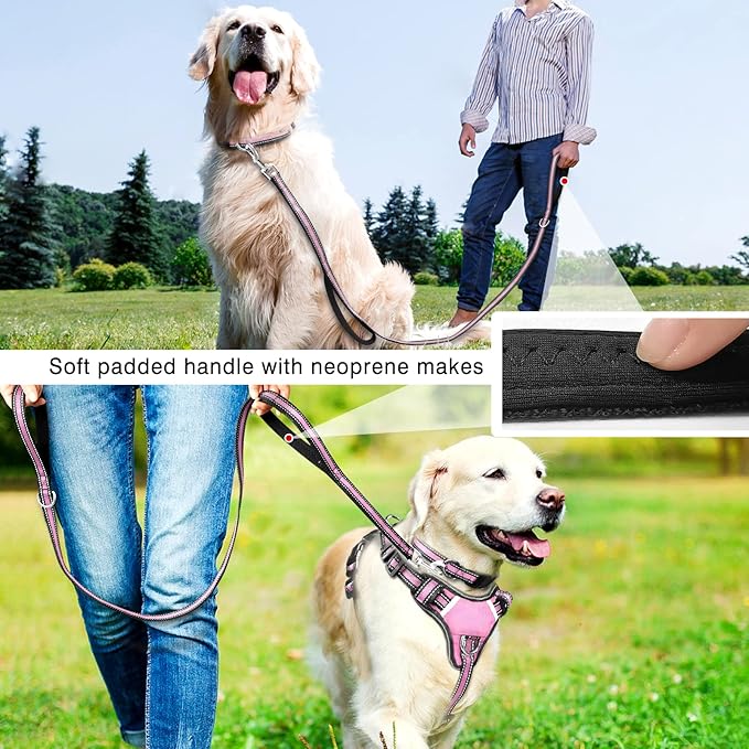 WINSEE Pet Harness Collar and Leash Set, All-in-one Reflective Dog Harness No - Image 6