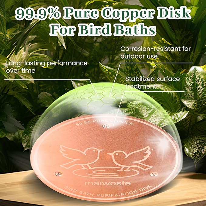 Bird Bath Copper Disk, 4 Inch 0.6mm Thick 99.9% Pure Copper Disc - Image 3