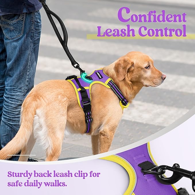 rabbitgoo Dog Harness No Pull - Image 6
