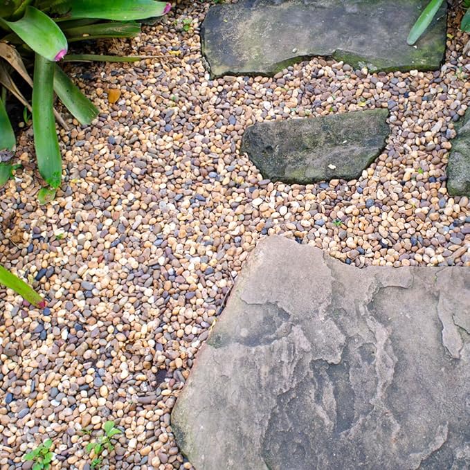 YISZM 2lbs Natural River Rocks, 1/4" Aquarium Gravel Succulent Cactus Pea Gravel - Image 6