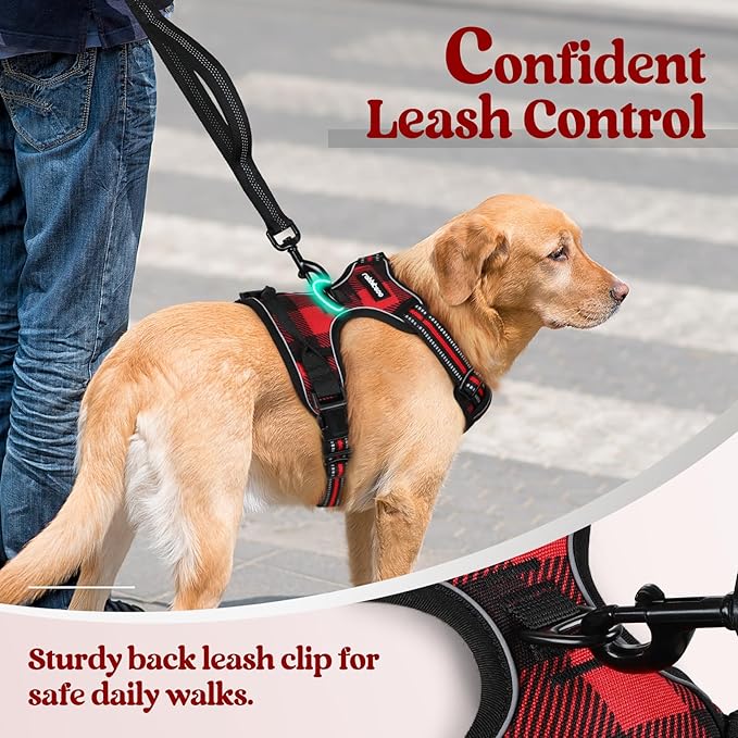 rabbitgoo Dog Harness No Pull - Image 6