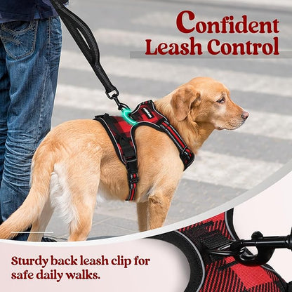 rabbitgoo Dog Harness No Pull - Image 6