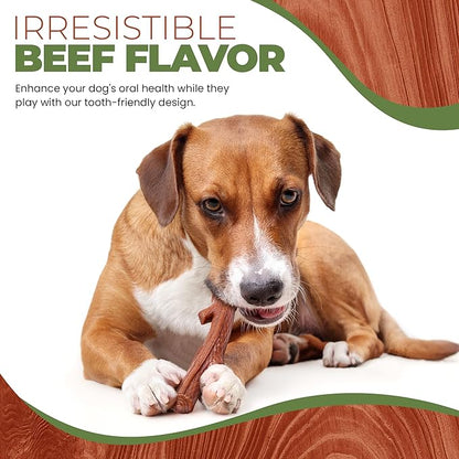 SPOT Bam-Bones Plus Branch -Bamboo Fiber & Nylon, Durable Long Lasting Dog Chew - Image 7