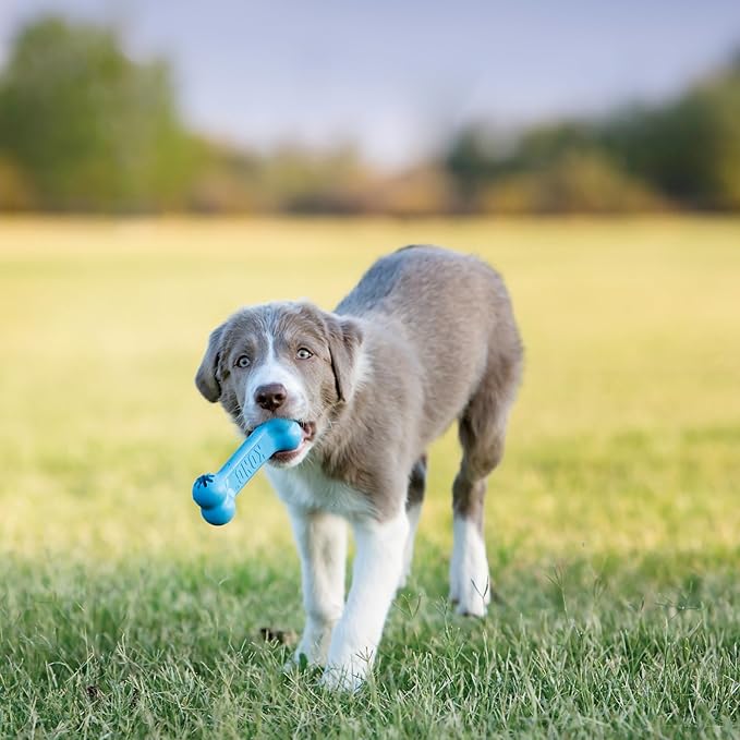 KONG Puppy Goodie Bone - Image 5