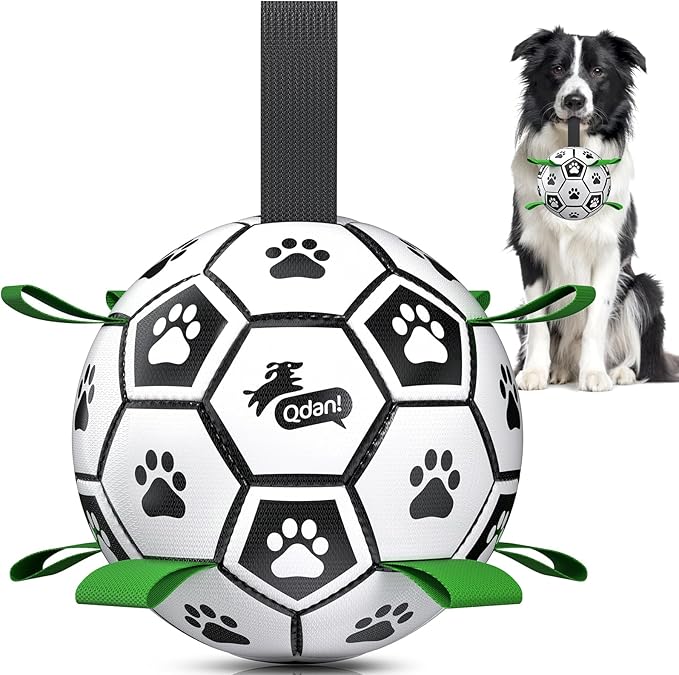 QDAN 6 Inch Dog Toys, Durable Floatable Dog Balls by QDAN