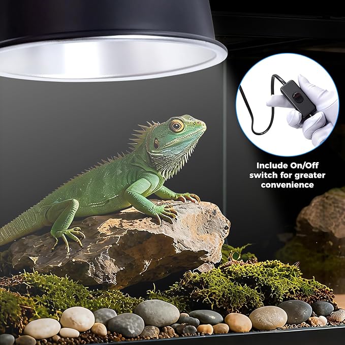 5.5 Inch Reptile Deep Dome Light Fixture - Image 6