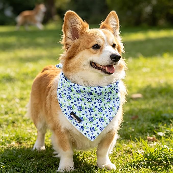 ARING PET Blueberry Dog Bandanas, Cute Blue Pet Bandana Scarf Triangle Bib - Image 3
