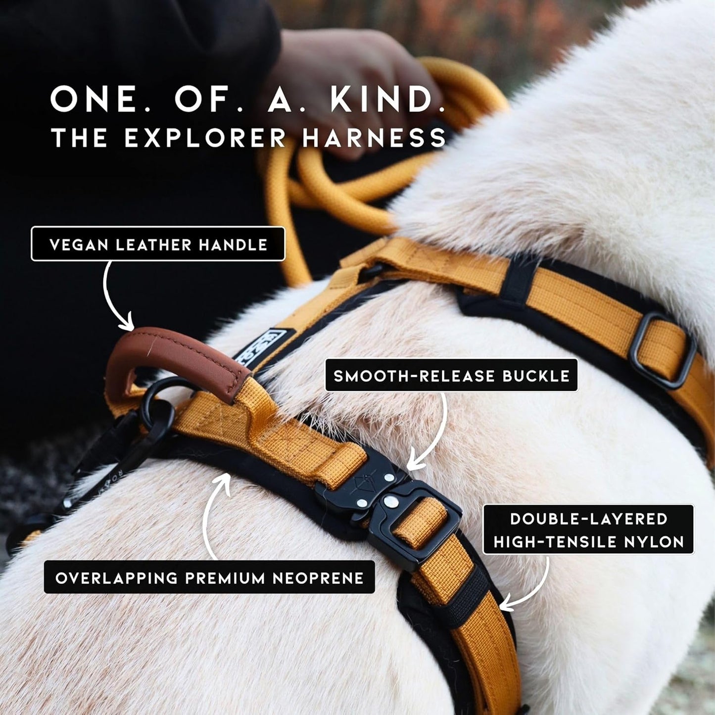 MADE TO ROAM Premium Explorer Harness - Y-Shaped Dog Harness with Adjustable Durable Nylon, Soft Padding, Metal Buckles and Leather Handle for Small, Medium, Large Dogs (Florida Seaside, Size 4)