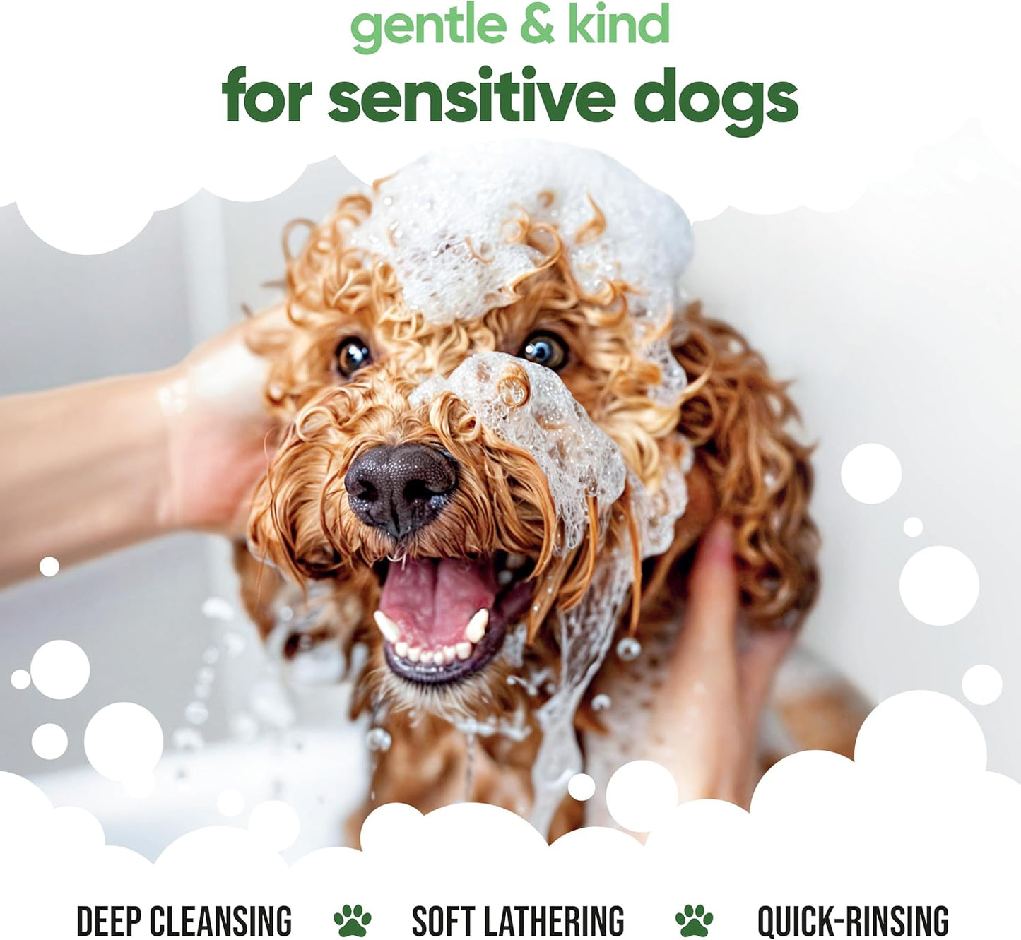 Shed Control Dog Shampoo by Buddycare | Aloe & Lemongrass Scented | with Aloe Vera and Pro Vitamin B5 (33.8oz)