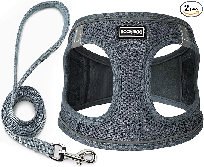 Dog Harness with Leash Set, No Pull Adjustable Reflective Step-in Puppy Pet by BOOMIBOO