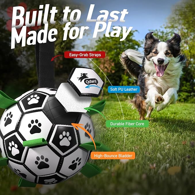 QDAN 6 Inch Dog Toys, Durable Floatable Dog Balls - Image 3