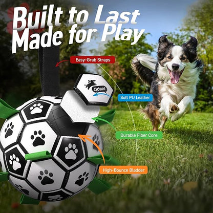 QDAN 6 Inch Dog Toys, Durable Floatable Dog Balls - Image 3