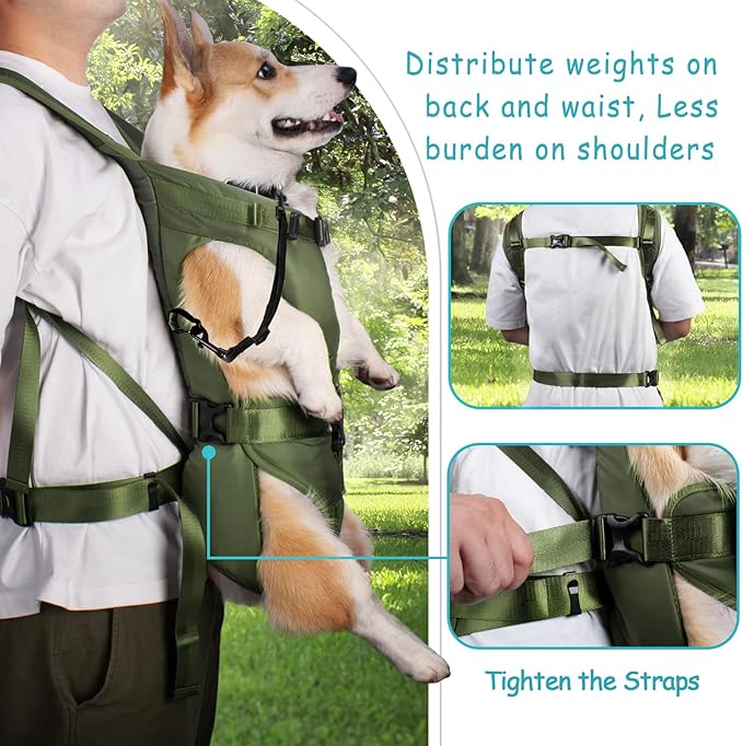 PetBonus Pet Front Dog Carrier Backpacks, Adjustable Pet Backpack, Legs Out - Image 3