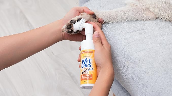 Wet Ones for Pets Antibacterial Dog Paw Cleaner - Image 4