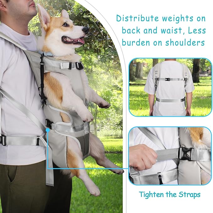 PetBonus Pet Front Dog Carrier Backpacks, Adjustable Pet Backpack, Legs Out - Image 3