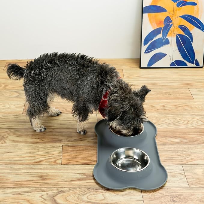 Conlun Stainless Steel Dog Bowls - Image 9