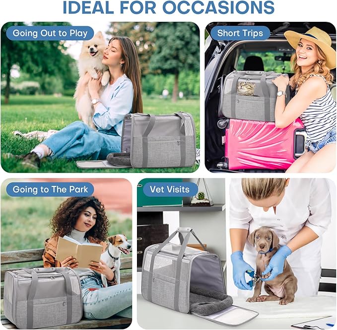 JUNGYOUN Premium ​Cat Carrier - Image 2