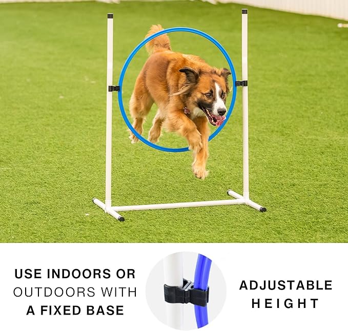 Better Sporting Dogs 3 Piece Essential Dog Agility Equipment Set | Agility Jump - Image 4