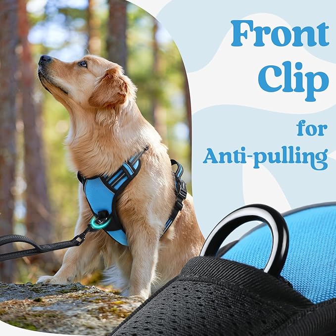 rabbitgoo Dog Harness Medium Sized, No Pull Easy On & Off - Image 7