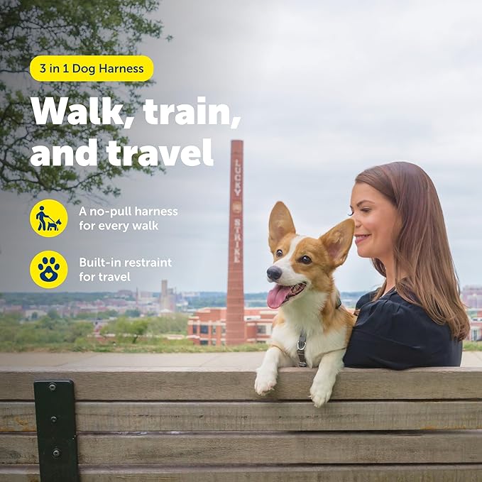 PetSafe 3 in 1 No-Pull Dog Harness - Image 3