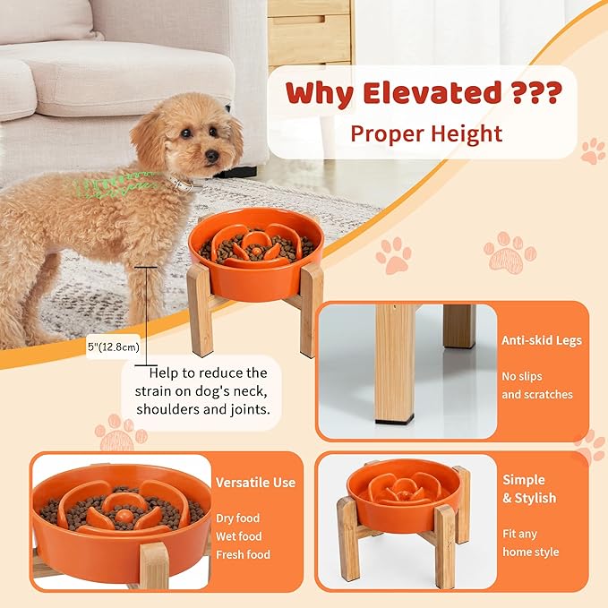 Elevated Slow Feeder Dog Bowl - Image 4