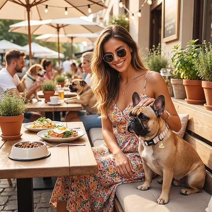 Dog Collar with Colorful Check Pattern, Spring Summer Collection Dog Collar - Image 6