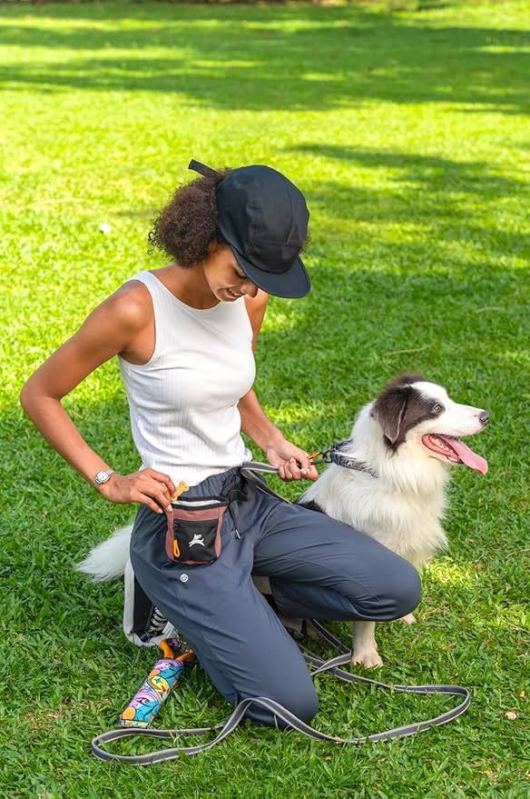 OllyDog Goodie Treat Bag, Dog Treat Pouch, Waist Belt Clip - Image 6
