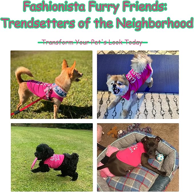 Paiaite Dog Clothes Fashionable Sleeveless Pet Vest: 'Little Miss Sassy' - Image 6