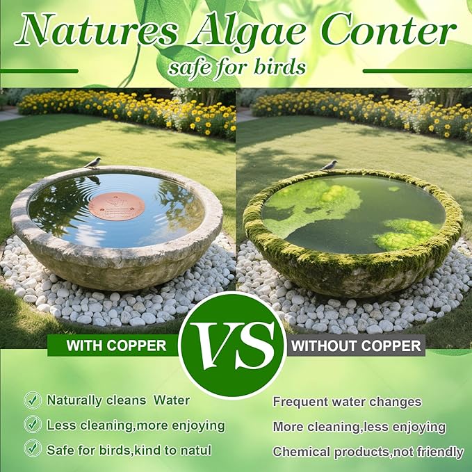 Bird Bath Copper Disk – 1mm Thick 99.9% Pure Copper Disk, 100mm Diameter - Image 4