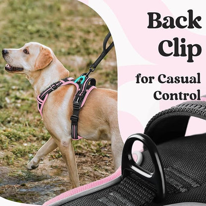 rabbitgoo Dog Harness Small Sized, No Pull Easy On & Off - Image 5