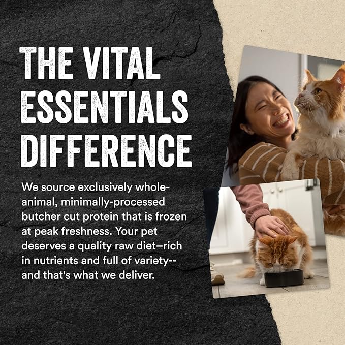 Vital Essentials Freeze Dried Raw Single Ingredient Cat Treats, 1 oz - Image 6