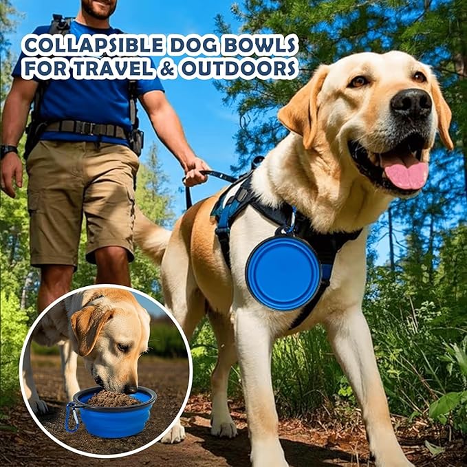 36 Inch Collapsible Travel Dog Crate - Image 5