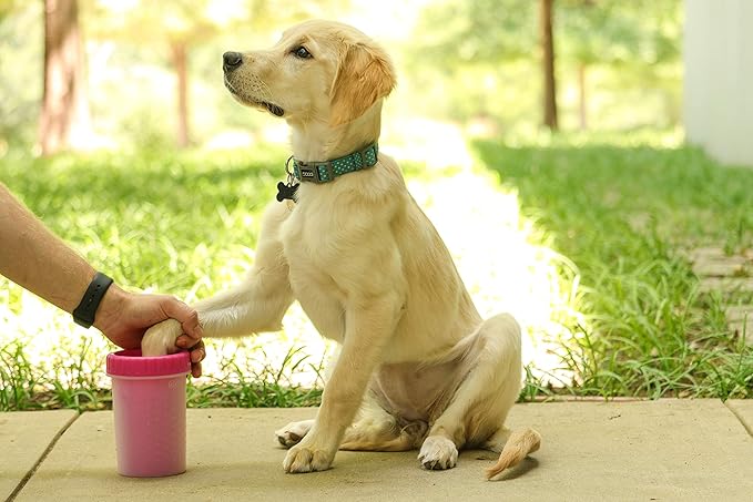 Dexas Pink Medium Dog Paw Cleaner, MudBuster - Image 5